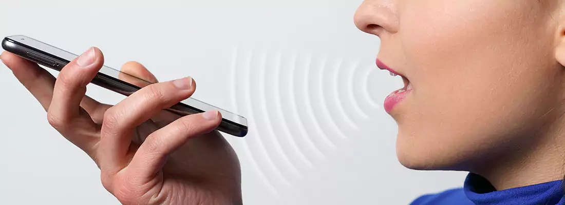 Residential and Commercial Voice Recognition Access Solutions in Key West, FL